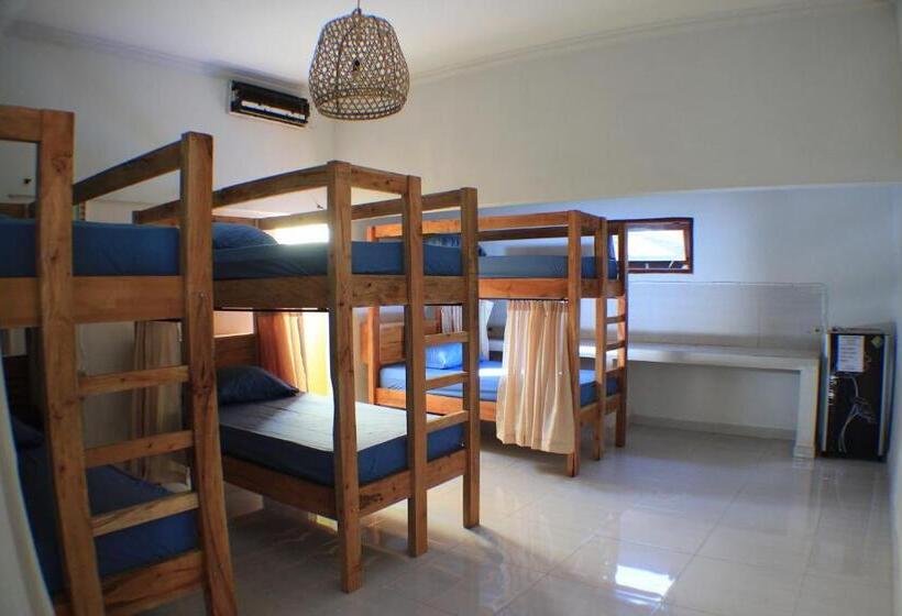 Black Sand Hostel Amed