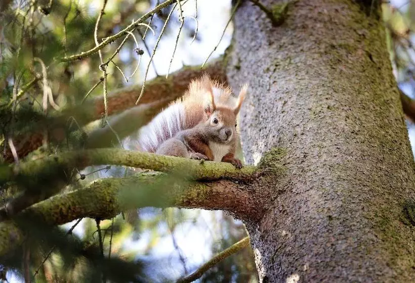 ホテル Am Katharinenholz