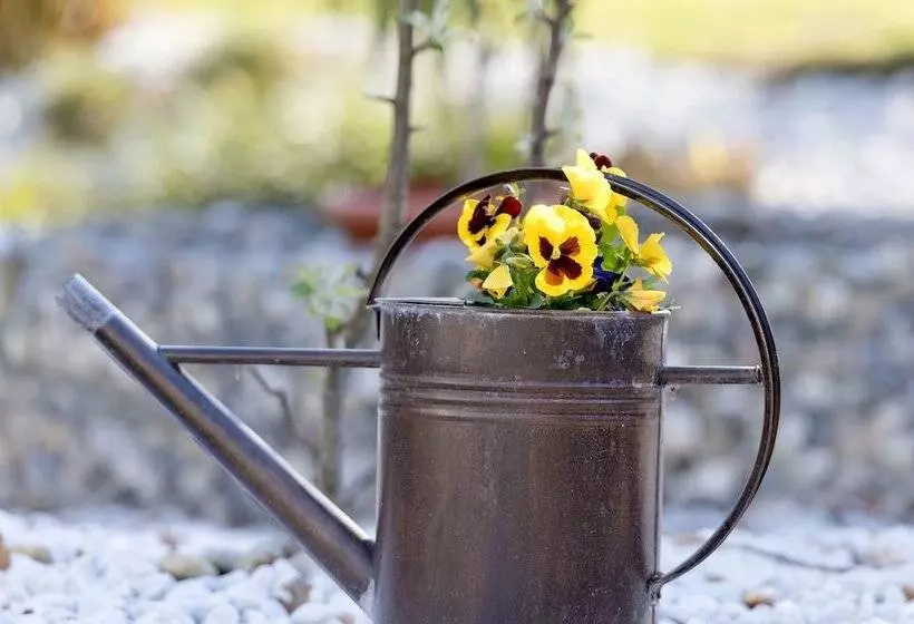 ホテル Am Katharinenholz