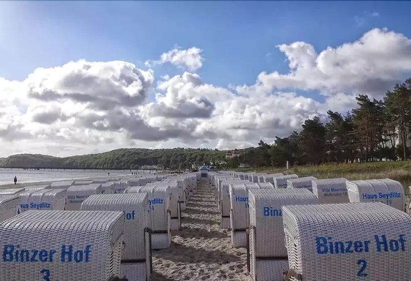 Отель Binzer Hof