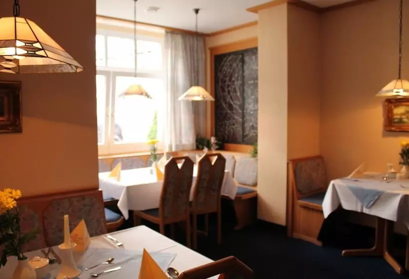 Отель Binzer Hof