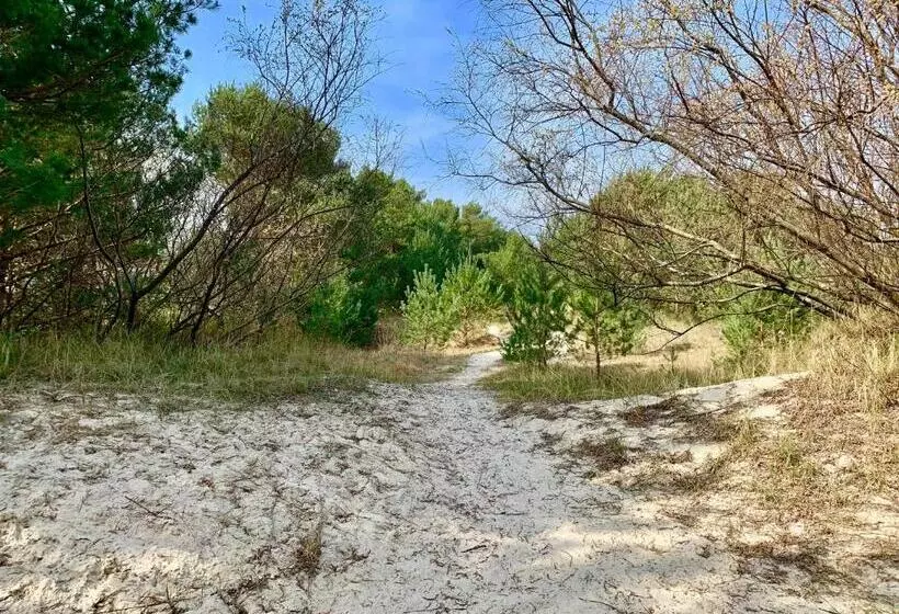 בית מלון כפרי Dünenschloss