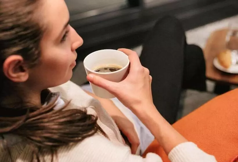 酒店 Ibis Budget Flensburg Handewitt