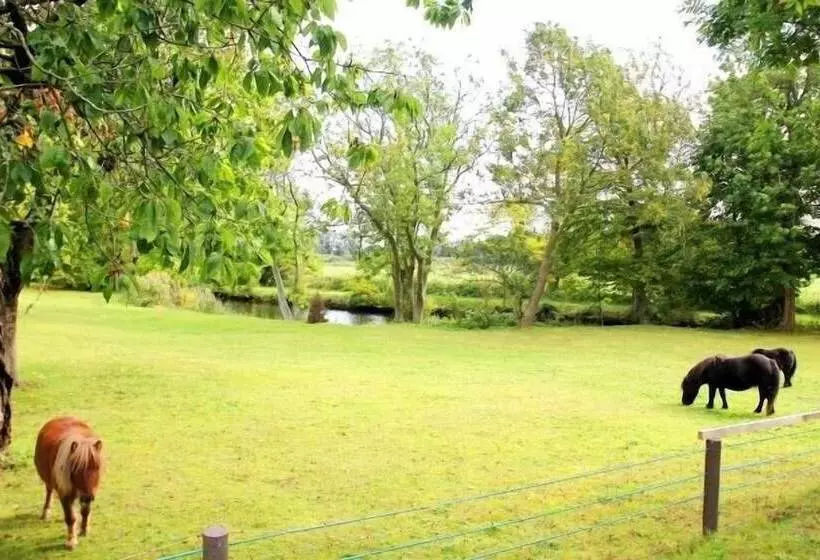 호텔 Reethäuser Auf Rügen