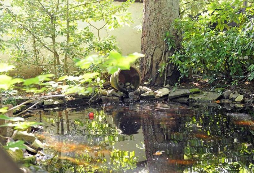 酒店 Restaurant Sengscheider Hof