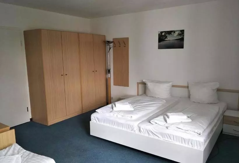 Отель Zum Grünen Tor