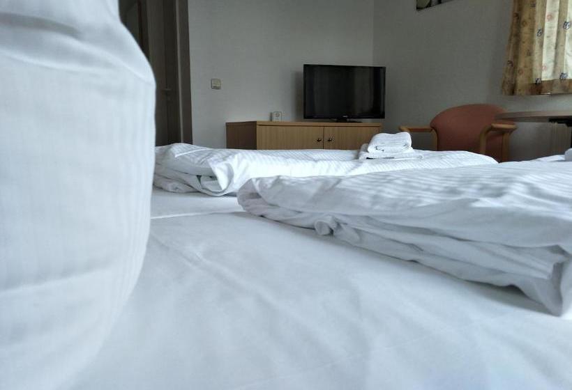 호텔 Zum Grünen Tor