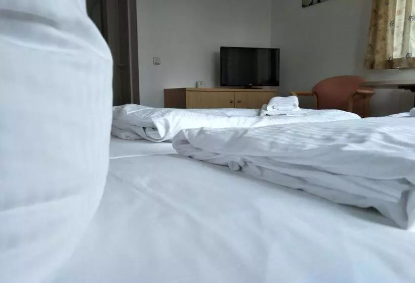 Отель Zum Grünen Tor