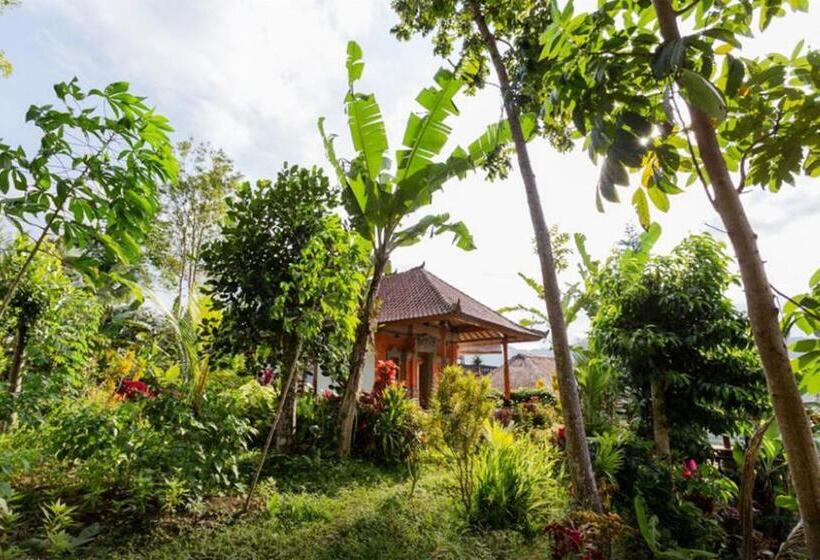 住宿加早餐 Lila Stana Sidemen Homestay