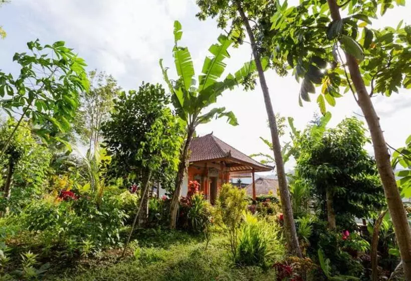 ベッドアンドブレックファースト Lila Stana   Sidemen Homestay