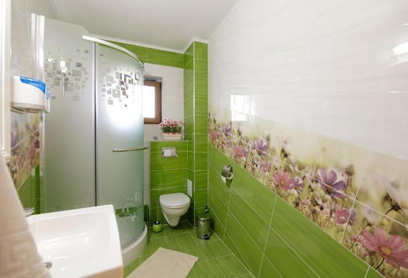 Pensão Casa Dacilor Liberi