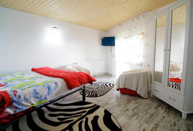 Pensão Casa Dacilor Liberi