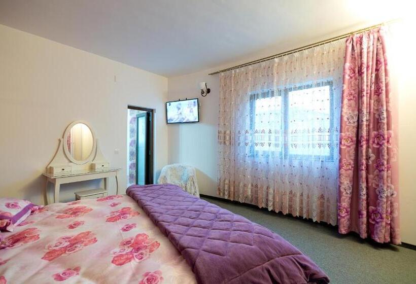 Pensão Casa Dacilor Liberi