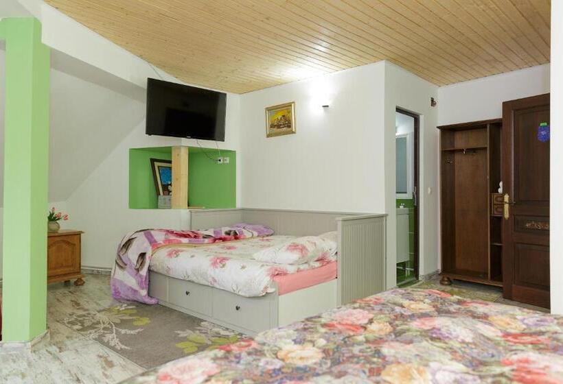 Pensão Casa Dacilor Liberi