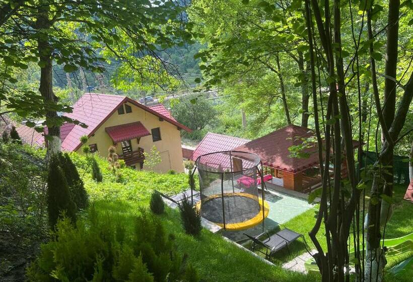 Cazare La Munte Comarnic