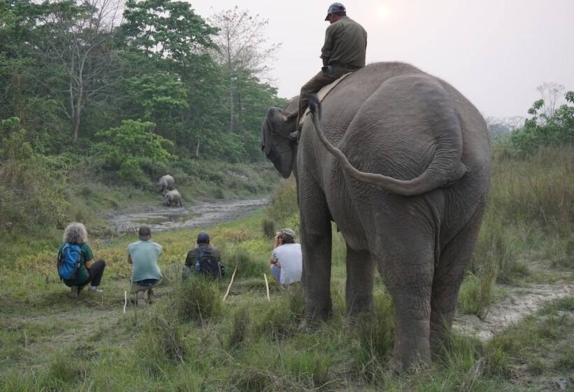 استراحتگاه Tiger Tops Tharu Lodge