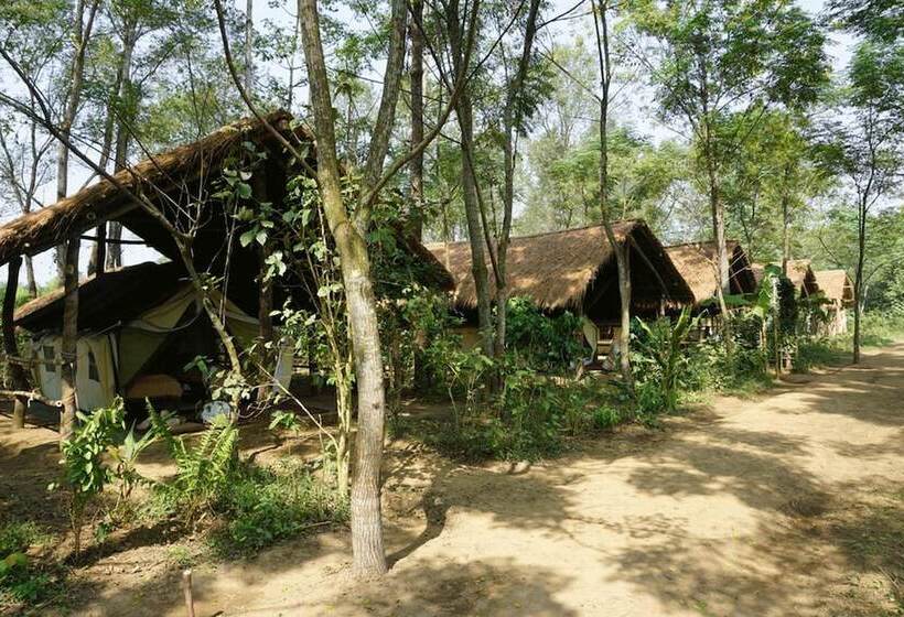 استراحتگاه Tiger Tops Tharu Lodge