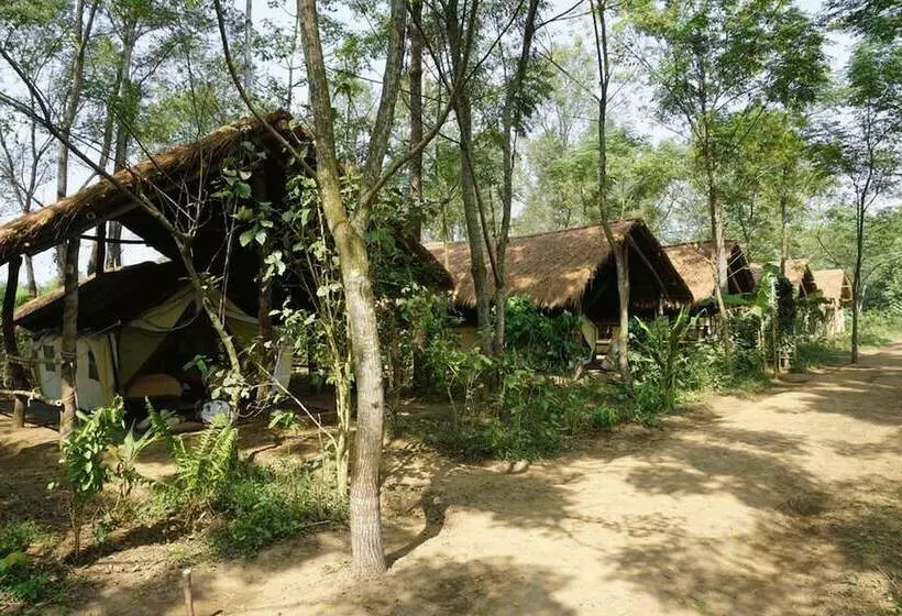 استراحتگاه Tiger Tops Tharu Lodge