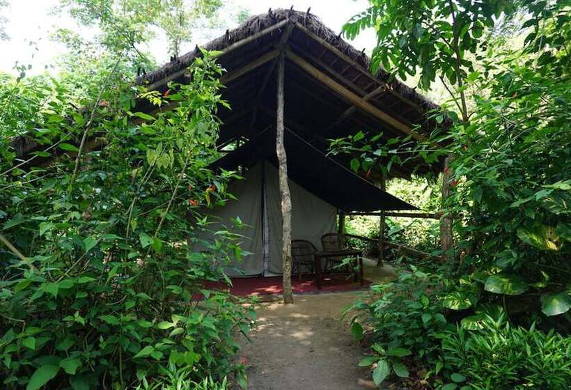 استراحتگاه Tiger Tops Tharu Lodge