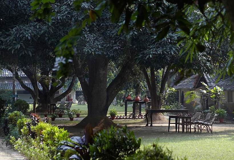 استراحتگاه Tiger Tops Tharu Lodge