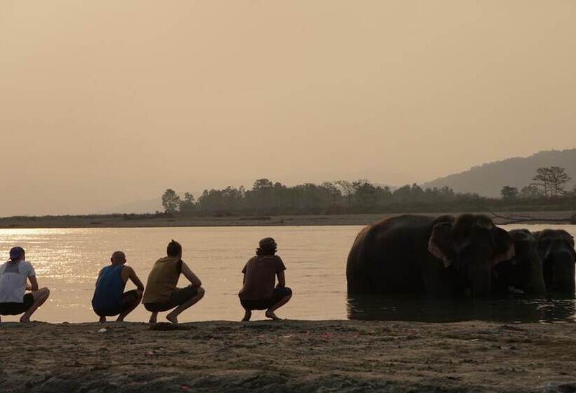 استراحتگاه Tiger Tops Tharu Lodge