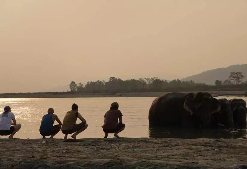 استراحتگاه Tiger Tops Tharu Lodge