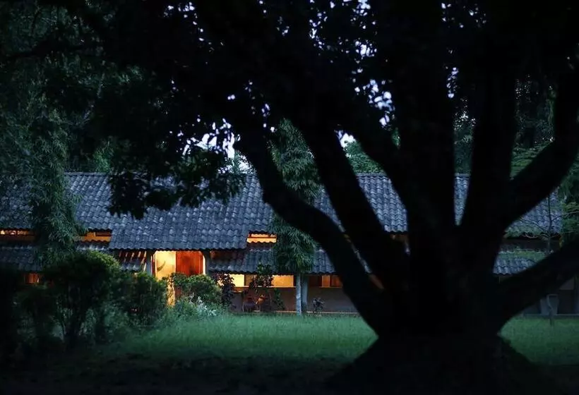 استراحتگاه Tiger Tops Tharu Lodge