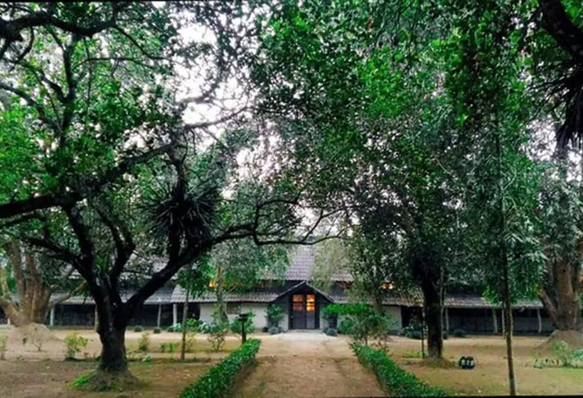 استراحتگاه Tiger Tops Tharu Lodge