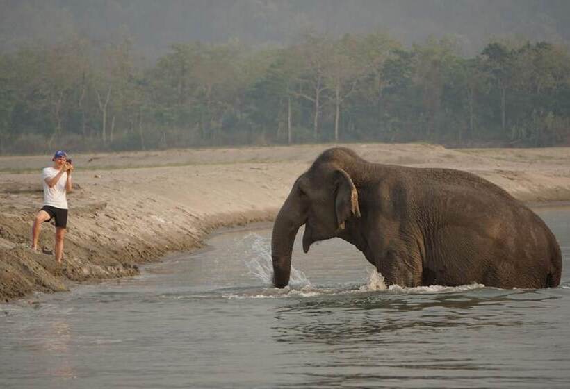 استراحتگاه Tiger Tops Tharu Lodge