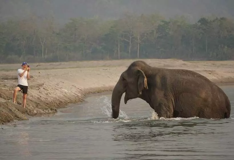 استراحتگاه Tiger Tops Tharu Lodge