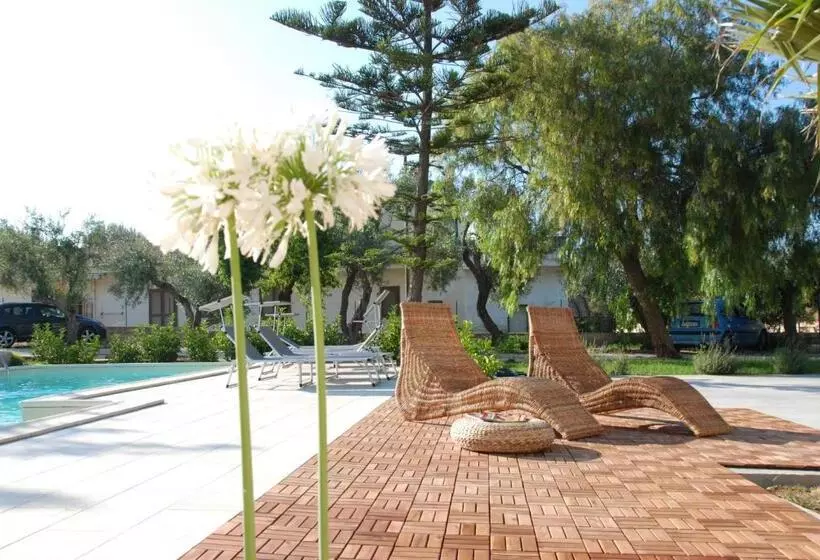 B&b Dunedorate