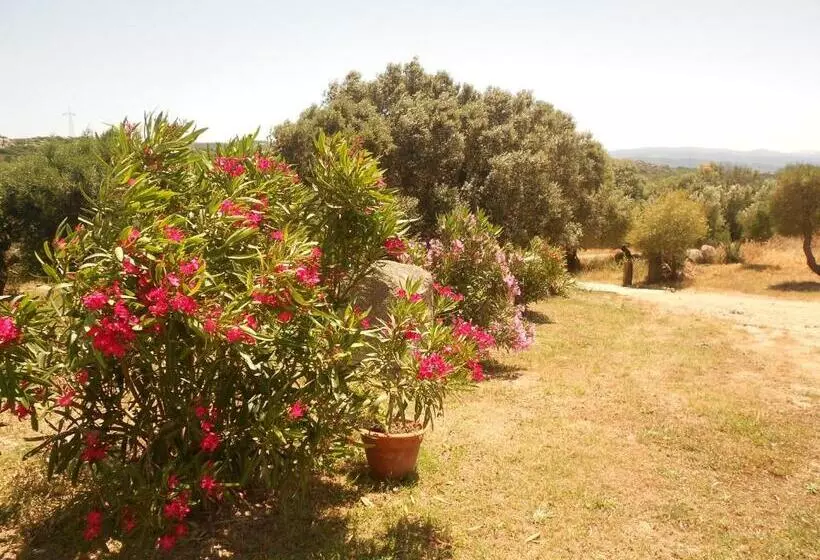 B&b L Incantu