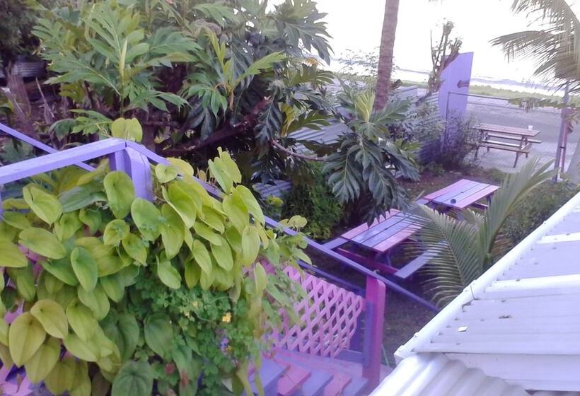 پانسیون Somewhere Special Guesthouse