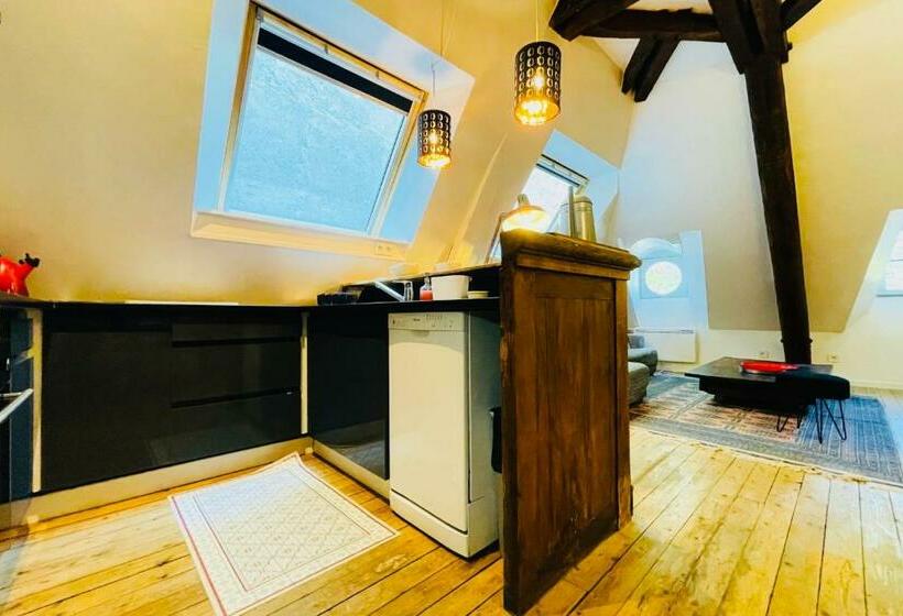 Apartment T3 Standing Center Station And Shops