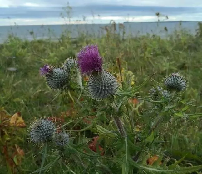 Aamiaismajoitus (B&B) Flotnar Hús   Ensuite Rooms