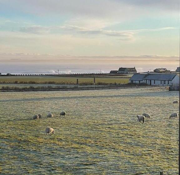 مبيت وإفطار Flotnar Hús   Ensuite Rooms