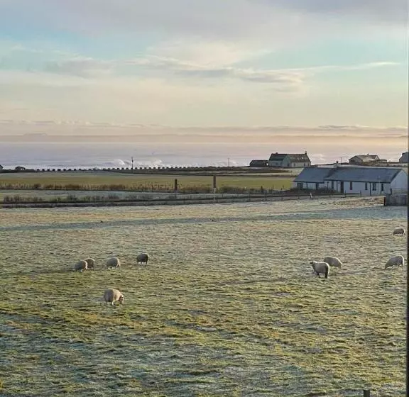 Aamiaismajoitus (B&B) Flotnar Hús   Ensuite Rooms