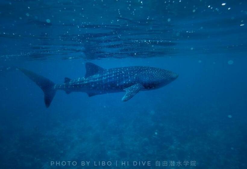 هتل Sunrise By White Sand Dhigurah