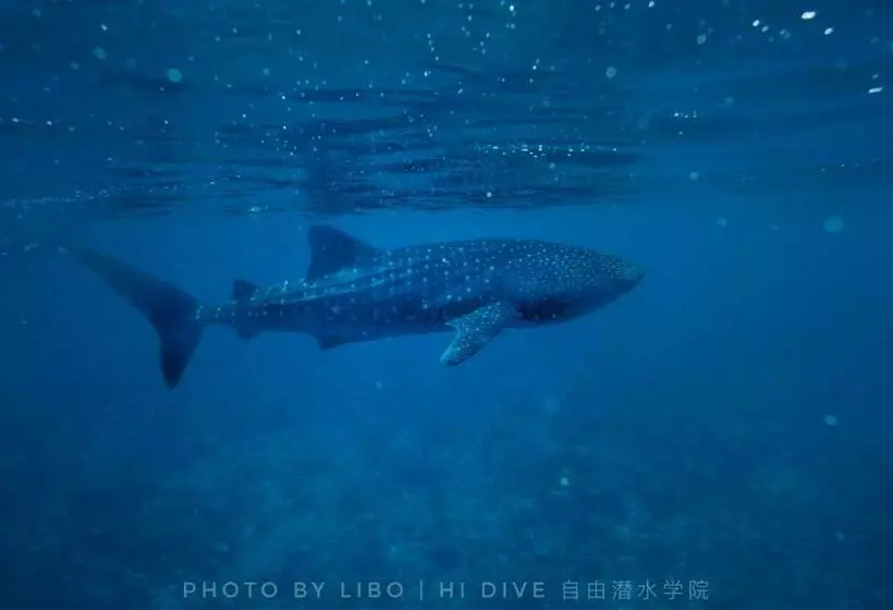 هتل Sunrise By White Sand Dhigurah