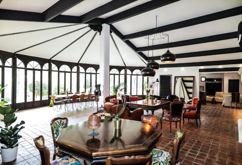 پانسیون L Insoupçonnée Saint Rémy De Provence