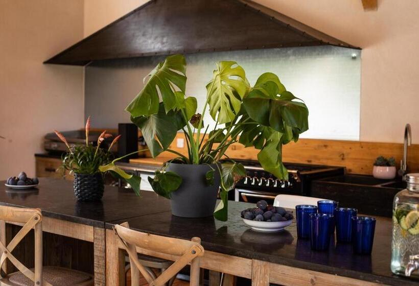 پانسیون L Insoupçonnée Saint Rémy De Provence