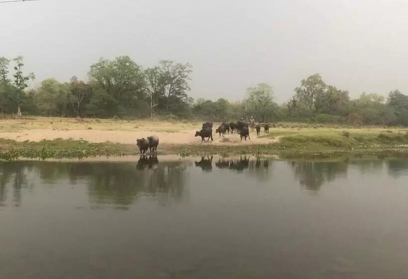 پانسیون Tara Guesthouse   Sauraha,chitwan
