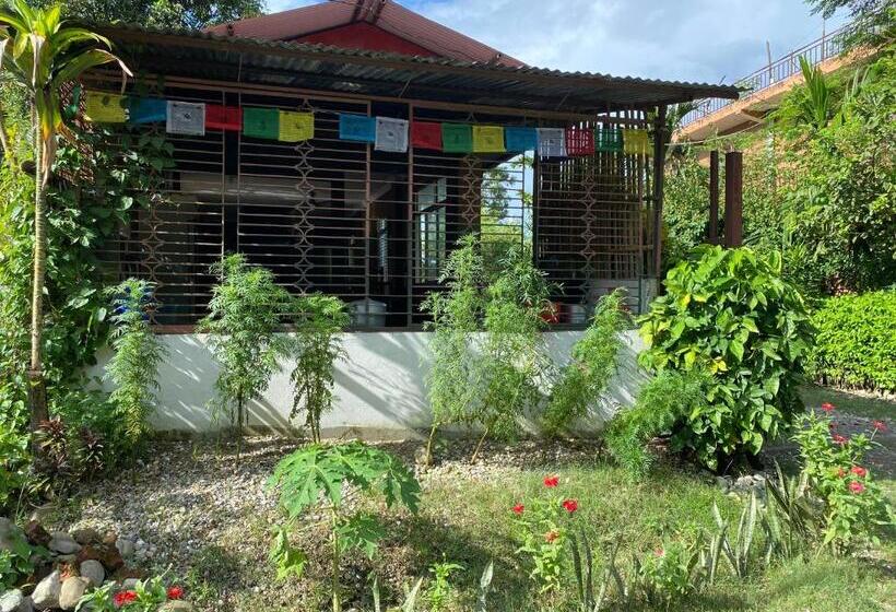 پانسیون Tara Guesthouse   Sauraha,chitwan