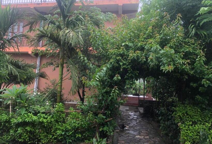 پانسیون Tara Guesthouse   Sauraha,chitwan