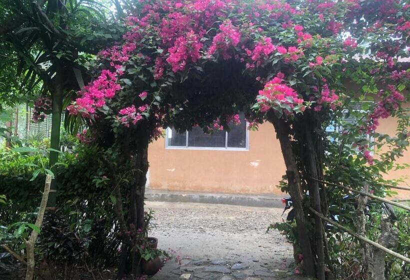 پانسیون Tara Guesthouse   Sauraha,chitwan