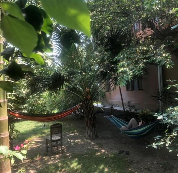 پانسیون Tara Guesthouse   Sauraha,chitwan