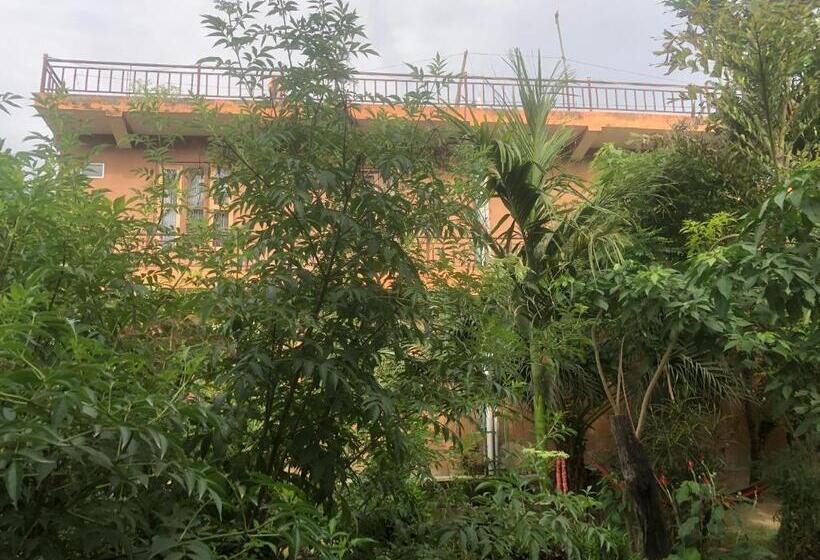 پانسیون Tara Guesthouse   Sauraha,chitwan