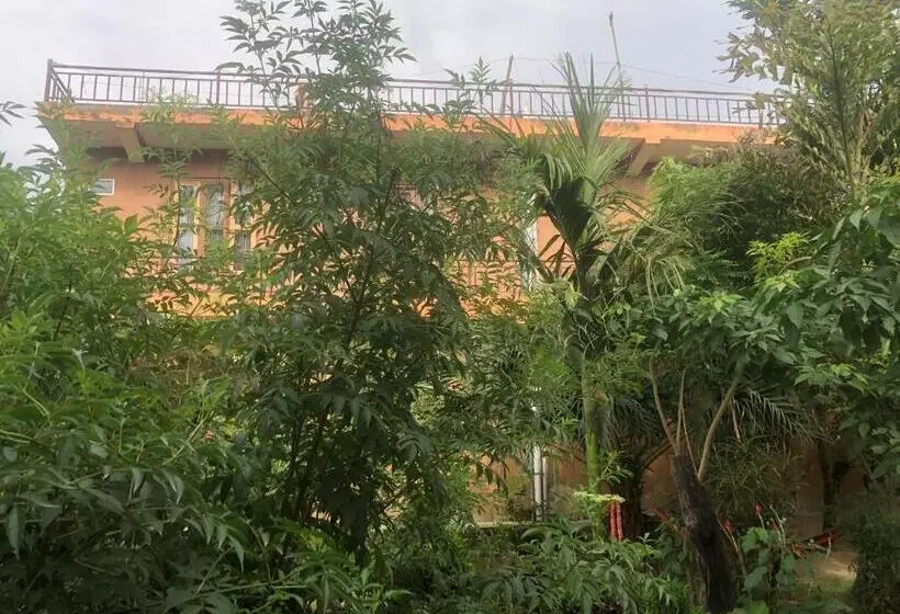 پانسیون Tara Guesthouse   Sauraha,chitwan