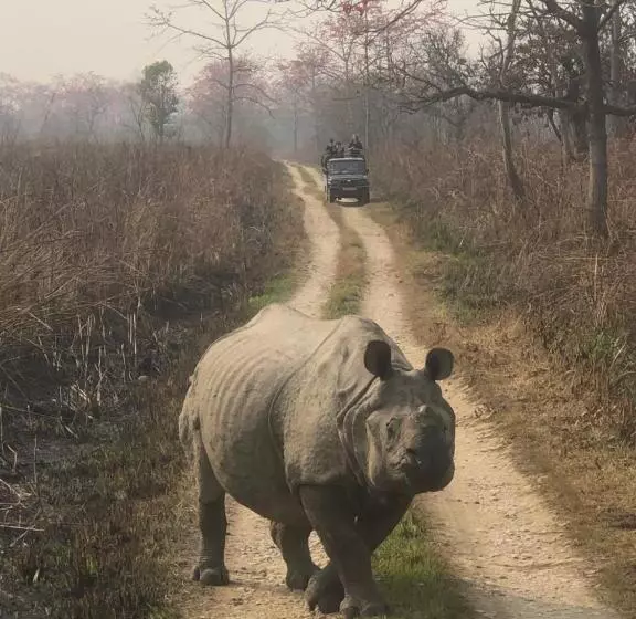 پانسیون Tara Guesthouse   Sauraha,chitwan