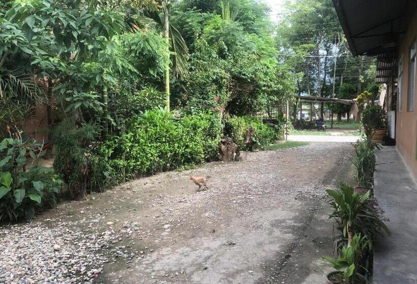 پانسیون Tara Guesthouse   Sauraha,chitwan